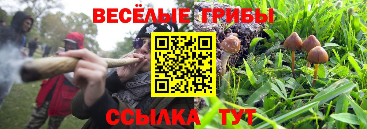 Галлюциногенные грибы ЛСД  Вход с VPN  Псилоцибиновые грибы мухоморы  Чусовой 